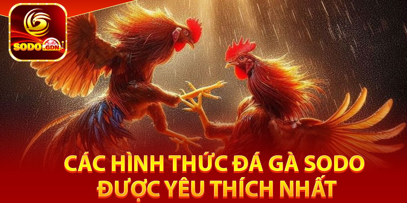 Đá Gà Sodo – Website Chọi Kê Kịch Tính, Chất Lượng 3 Các hình thức đá gà Sodo được yêu thích nhất