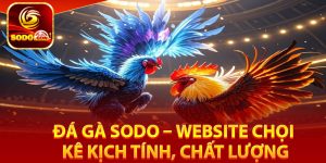 Tìm hiểu về sân chơi đá gà Sodo đỉnh cao