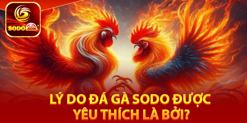 Đá Gà Sodo – Website Chọi Kê Kịch Tính, Chất Lượng 4 Lý do đá gà Sodo được yêu thích là bởi?