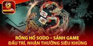 4 lý do không thể nào bỏ qua rồng hổ Sodo