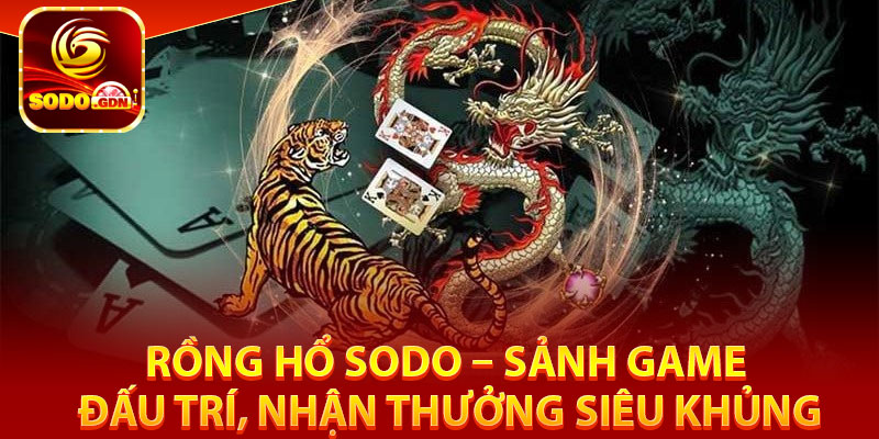 4 lý do không thể nào bỏ qua rồng hổ Sodo